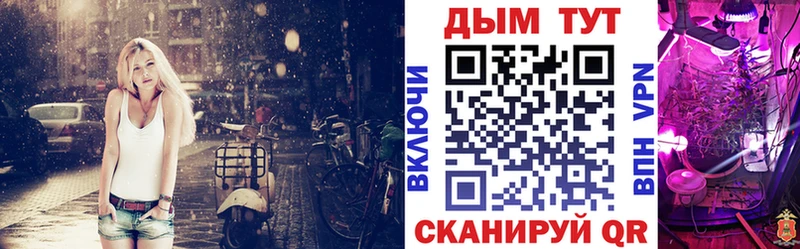 как найти закладки  Владивосток  Марихуана сатива 